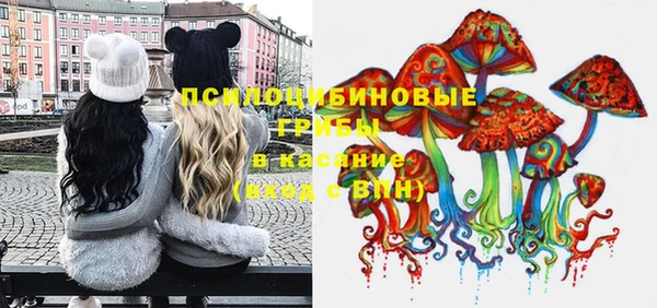 дурь Алексеевка