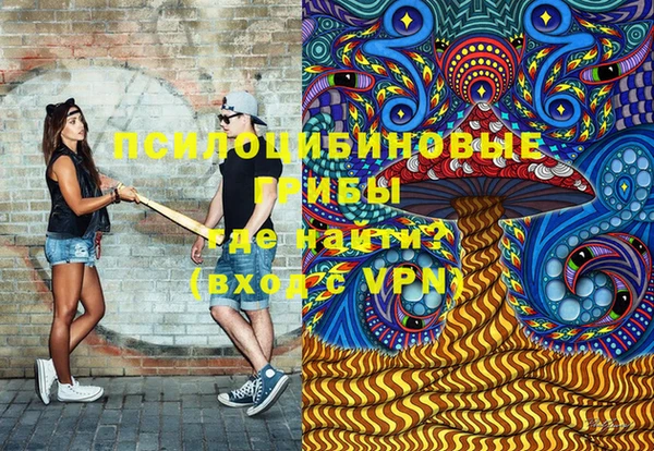 первитин Ладушкин