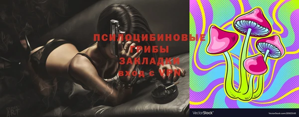 дурь Алексеевка
