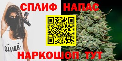 ECSTASY Моздок